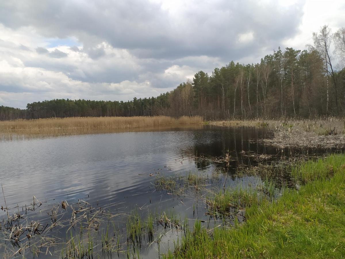 Gajowka Zlobek Villa Zlobek  ภายนอก รูปภาพ