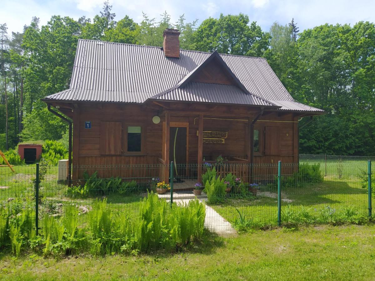 Gajowka Zlobek Villa Zlobek  ภายนอก รูปภาพ