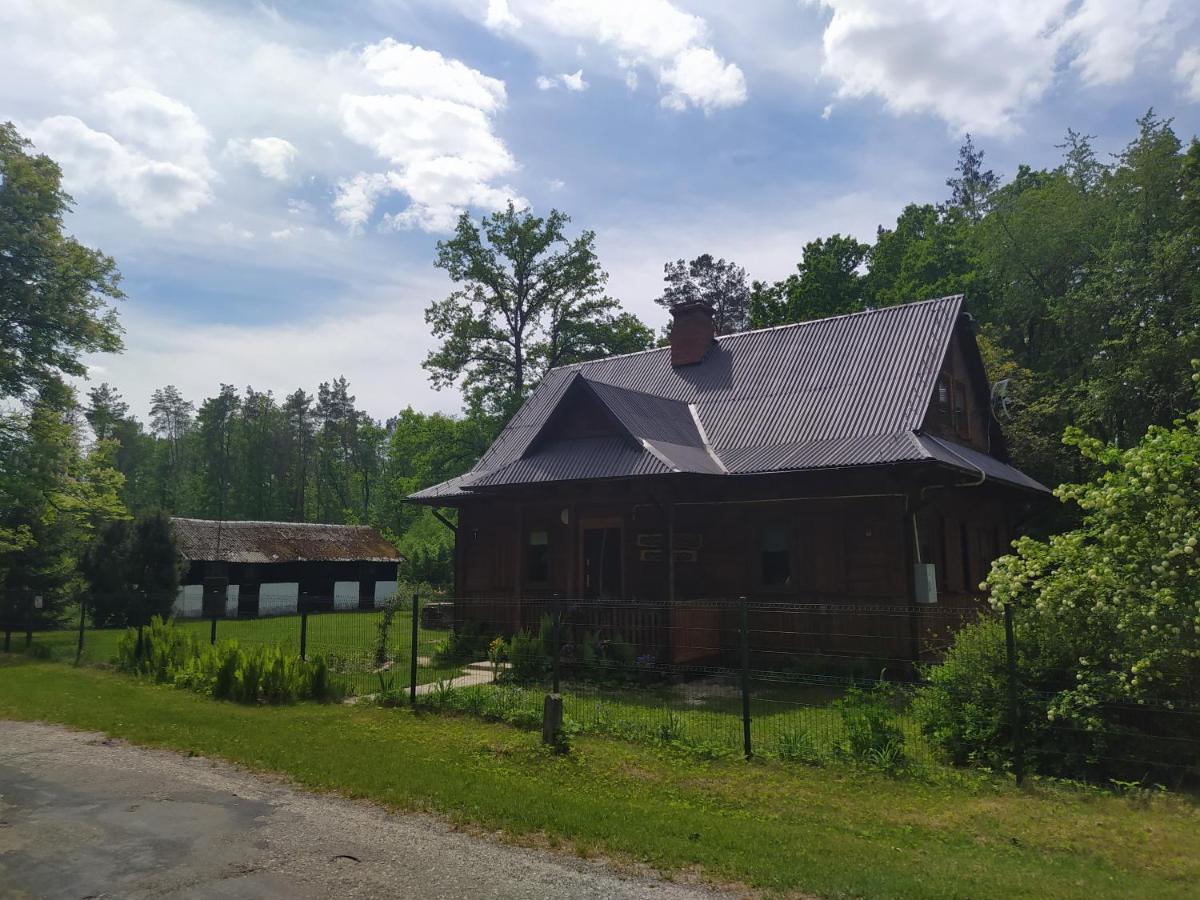 Gajowka Zlobek Villa Zlobek  ภายนอก รูปภาพ